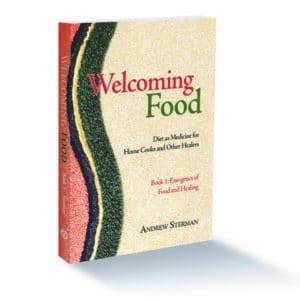 Welcoming Food, Book 1: Energetics of Food and Healing