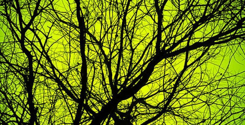 386d74_92d59835c24e4c7ab8eaad5e2fd2ac75~mv2