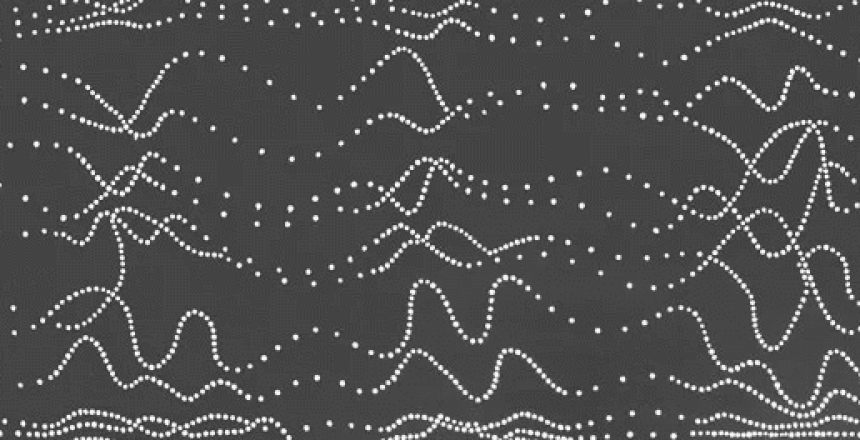 canva-photo-editor (10)