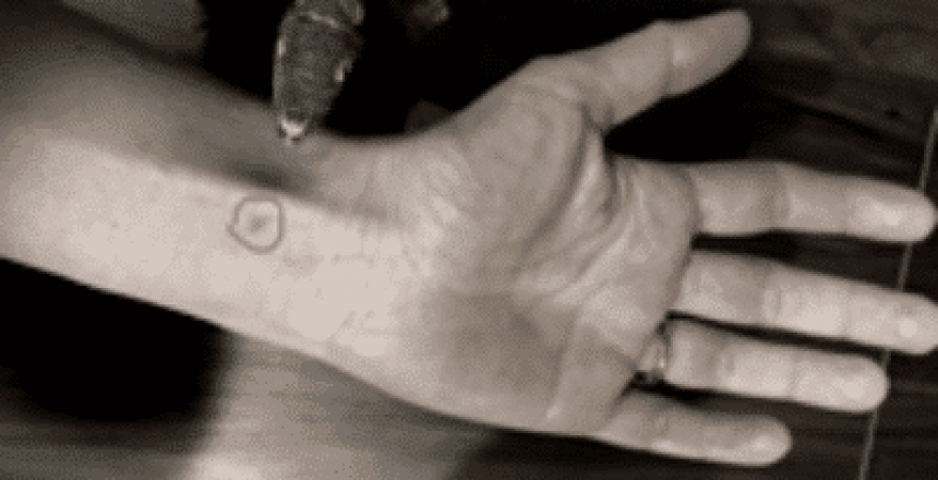 canva-photo-editor (12)